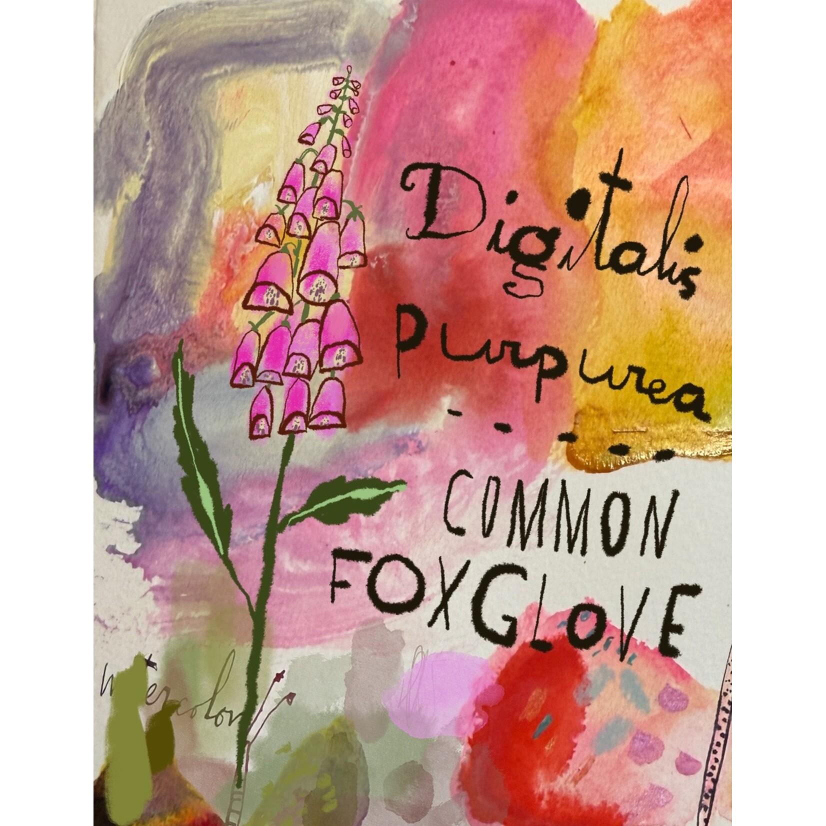 Sketchbook Journaling with Lilla Rogers -5 week class, Starting Thursday, August 13, 2026