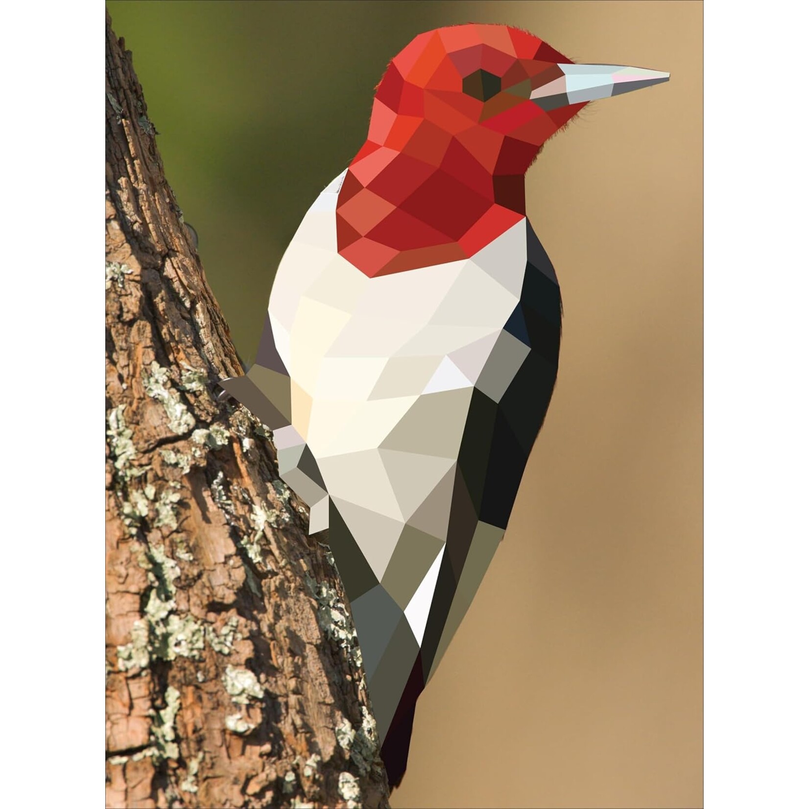 Paint by Sticker: Birds