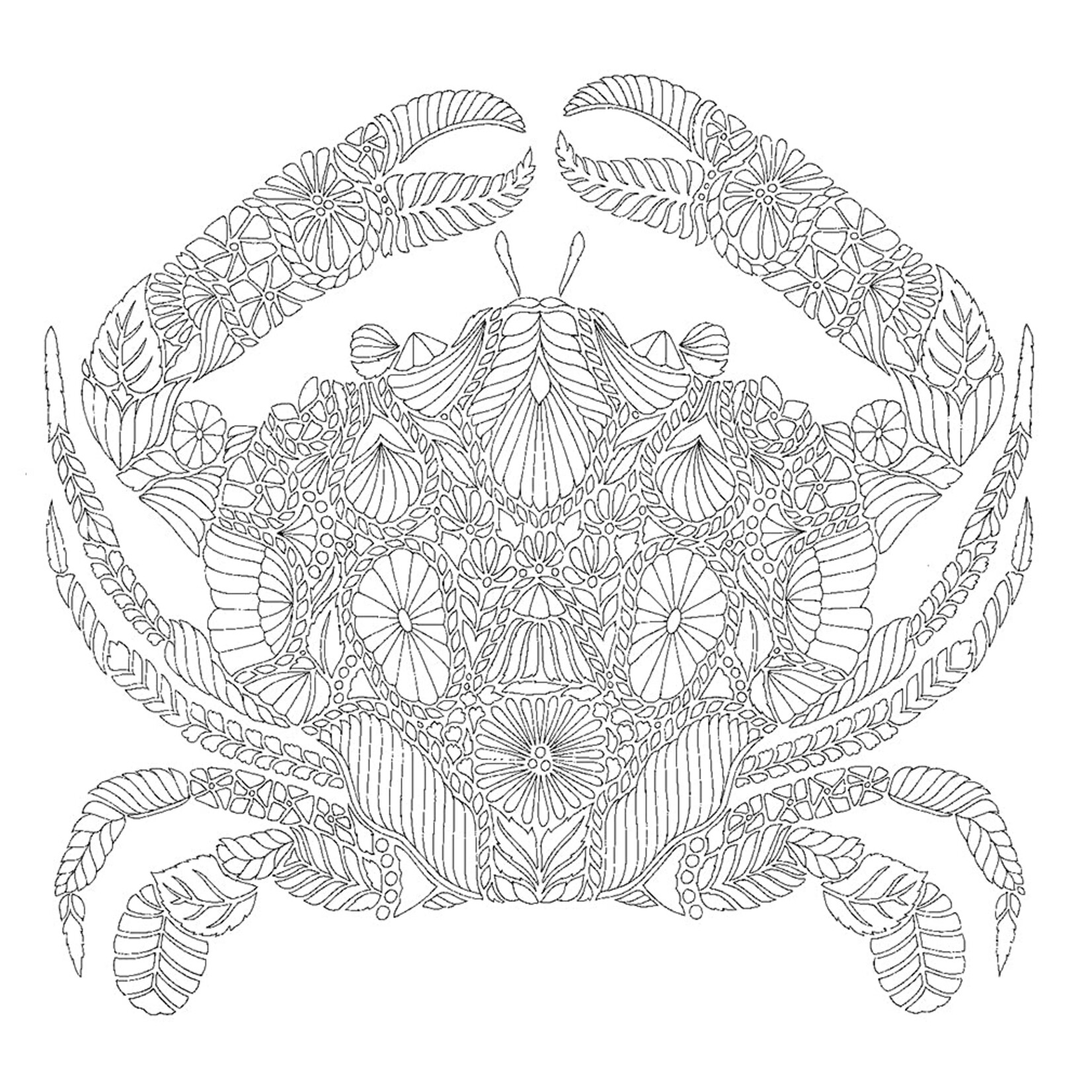 Millie Marotta's Secrets of the Sea Coloring Book