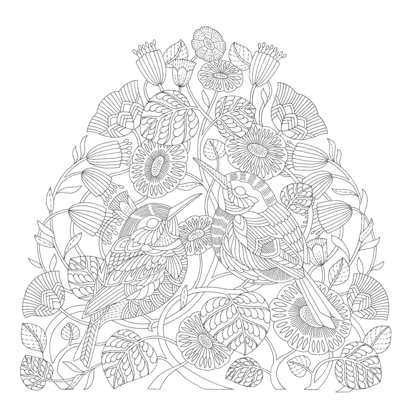Millie Marotta's Island Escape Coloring Book