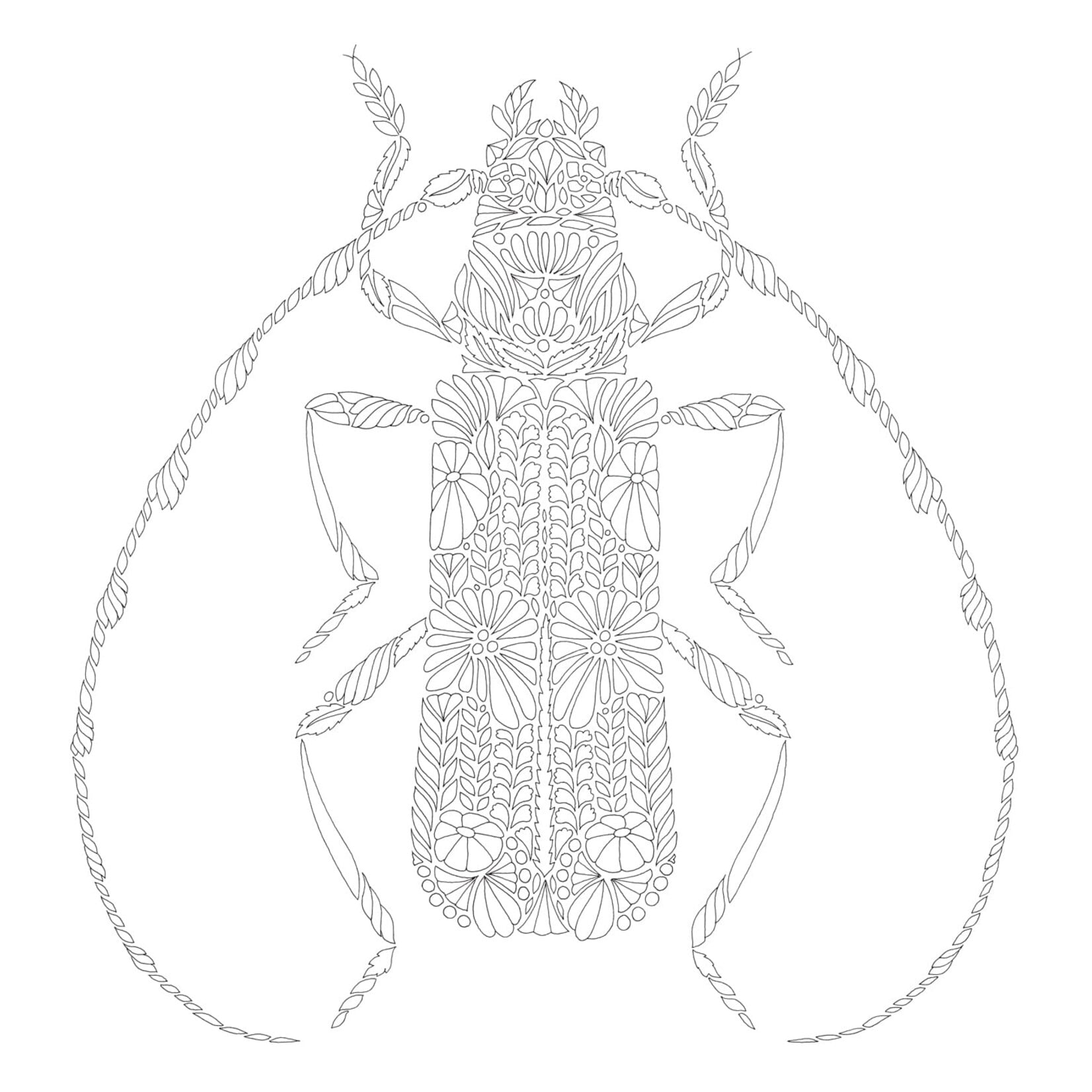 Millie Marotta's Woodland Wild Coloring Book