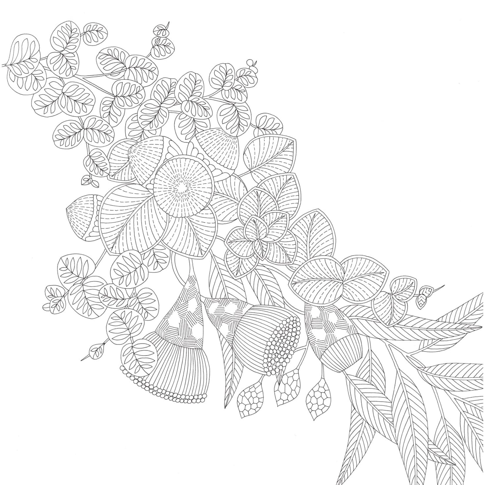 Millie Marotta's Woodland Wild Coloring Book