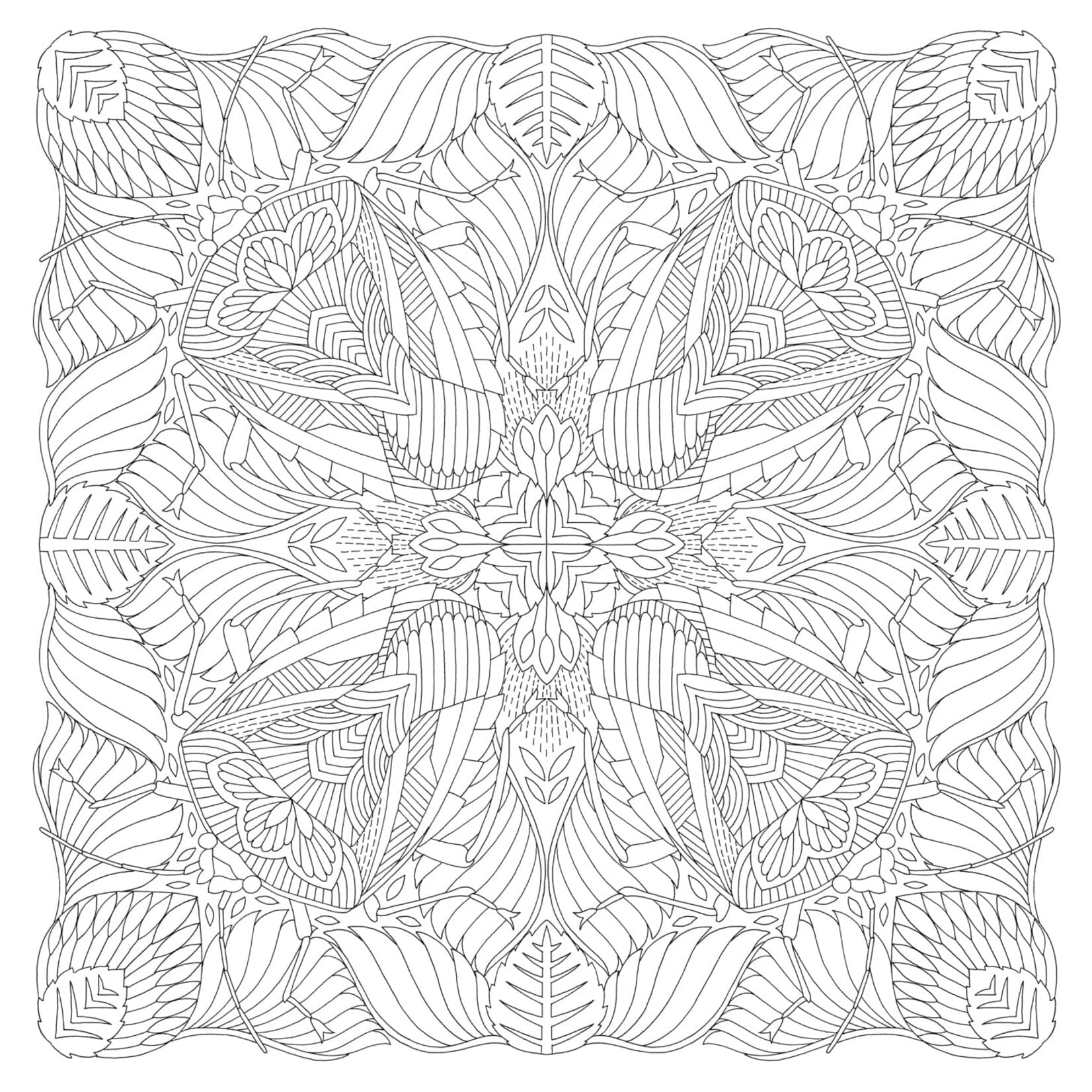 Millie Marotta's Woodland Wild Coloring Book