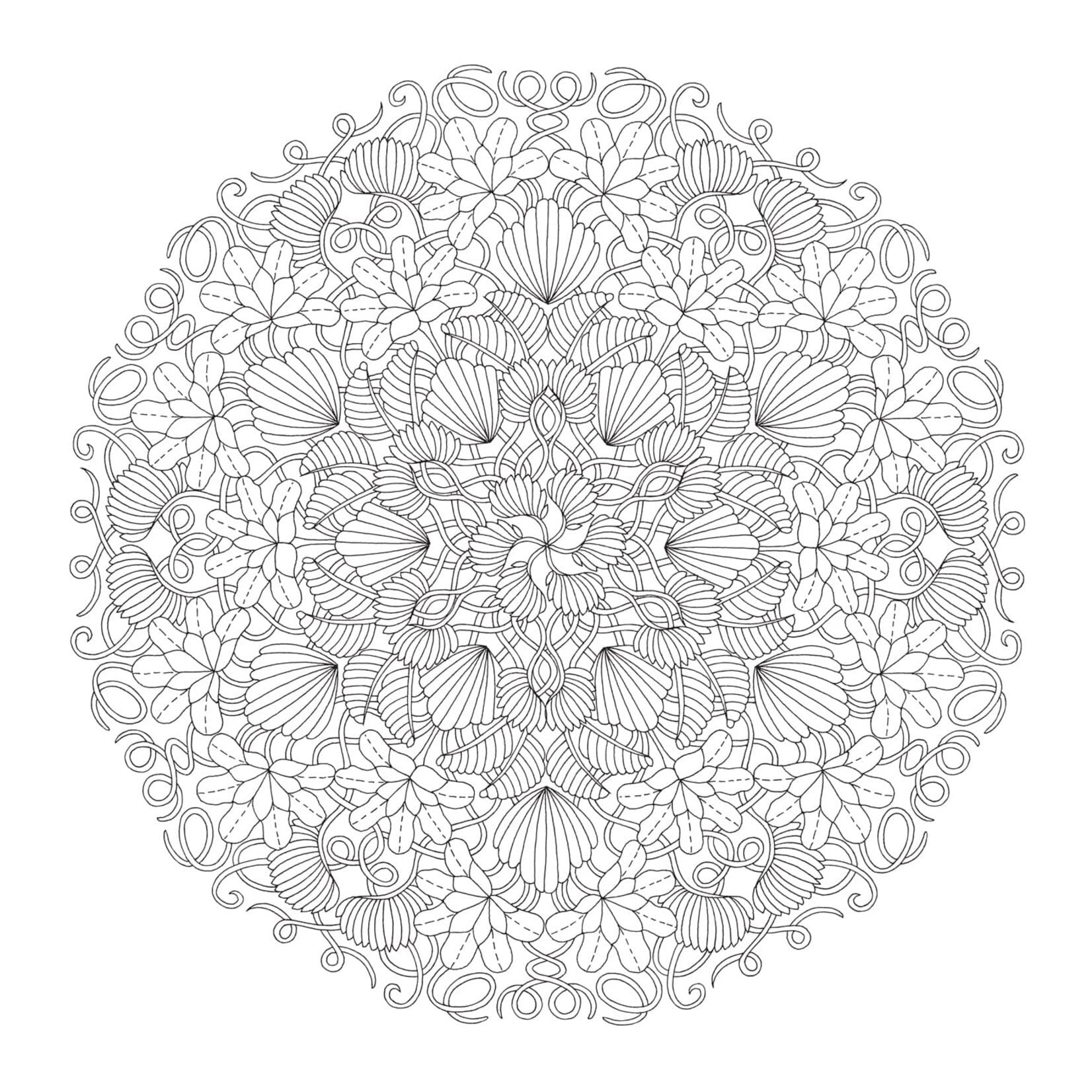 Millie Marotta's Woodland Wild Coloring Book
