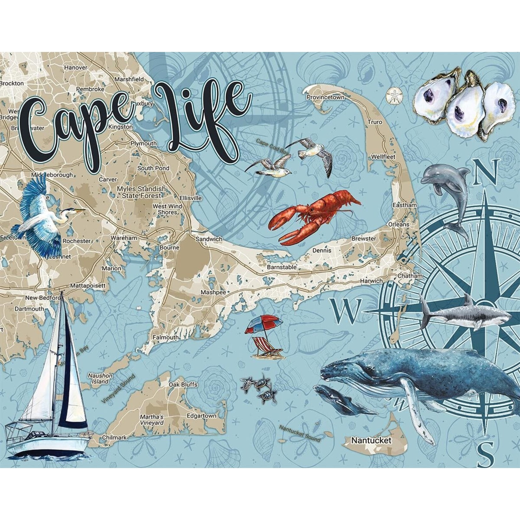 Cape Life 1000 Piece Puzzle