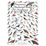 Peterson's Backyard Birds of the Northeast 550 Piece Puzzle