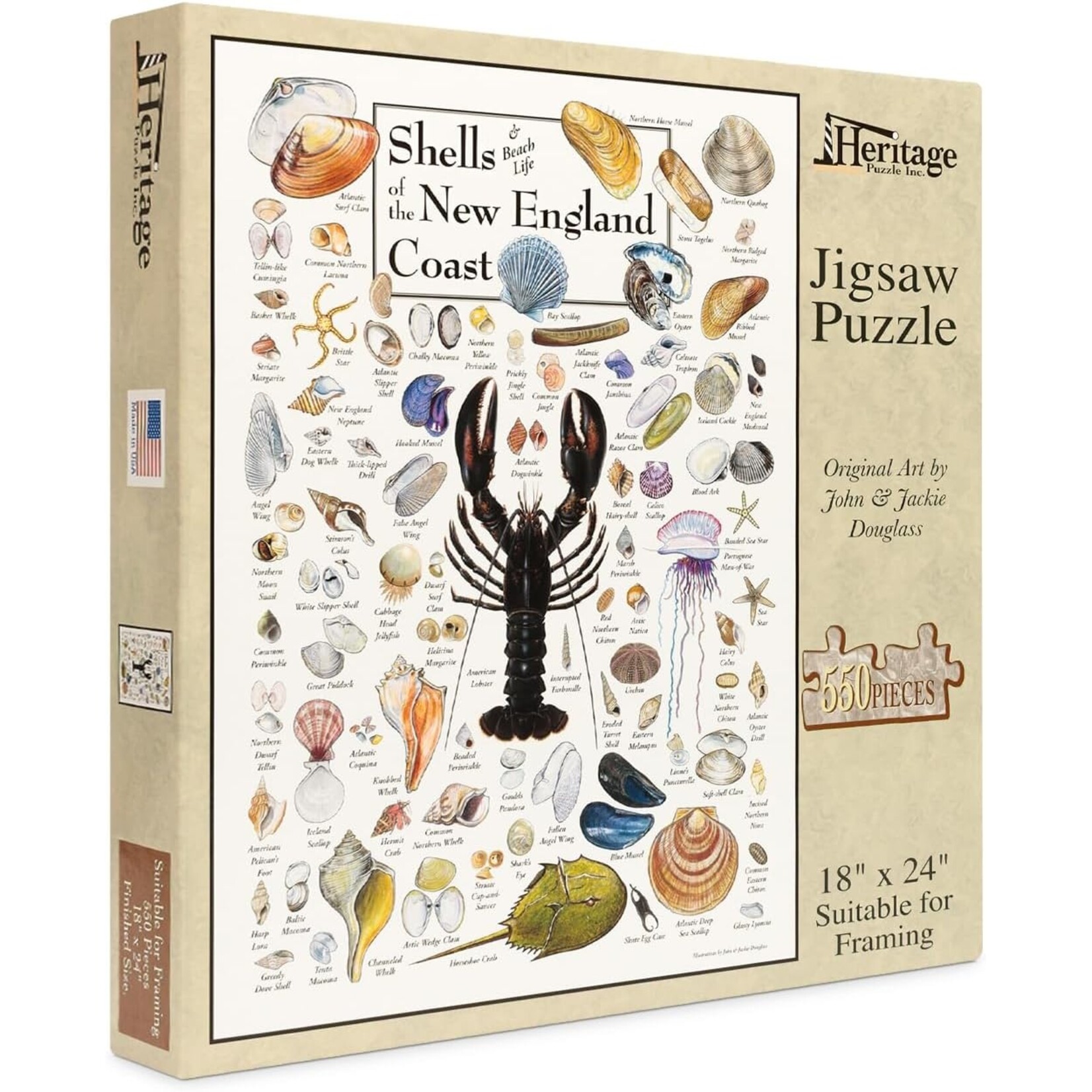 Shells of the New England Coast 550 Piece Puzzle