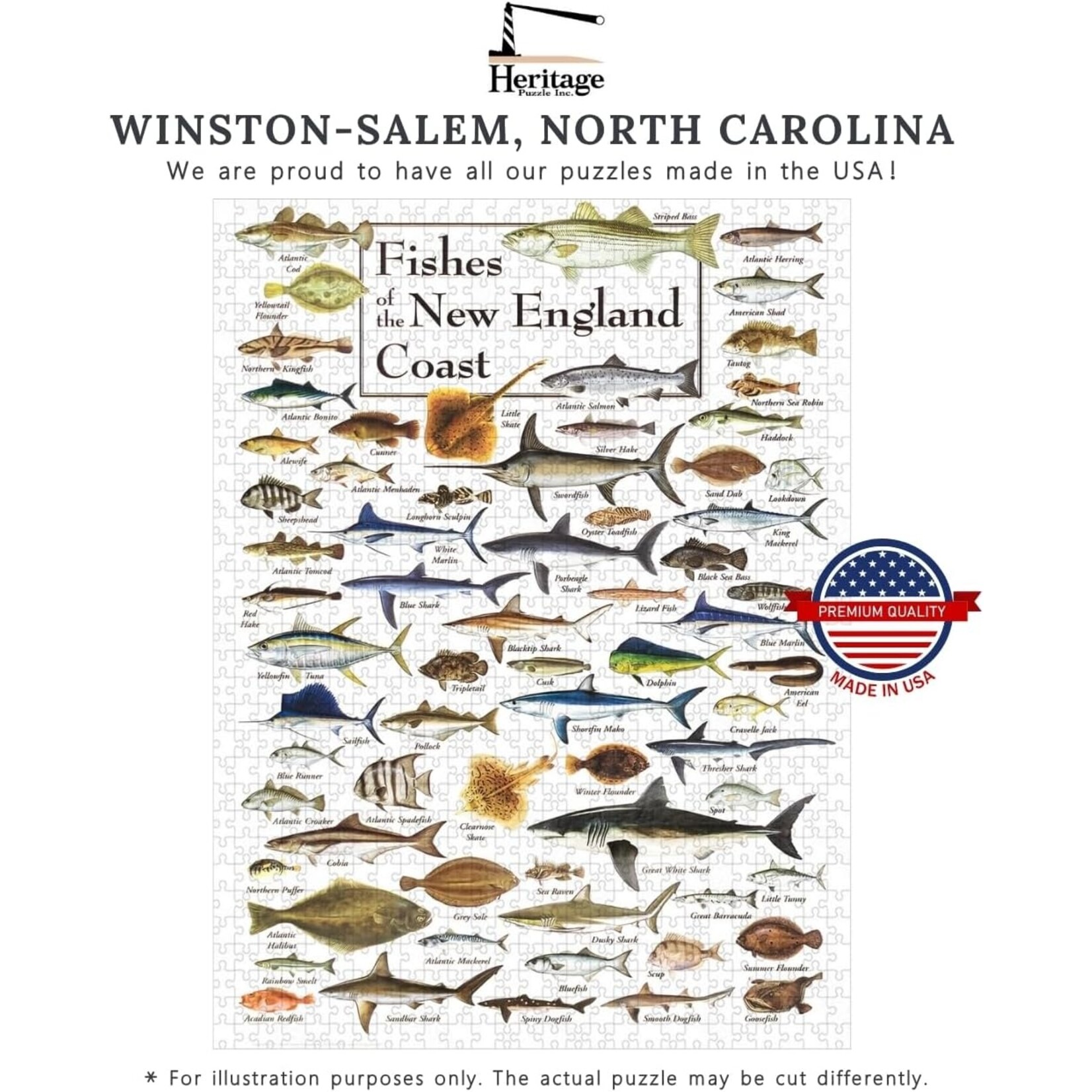 Fishes of the New England Coast 550 Piece Puzzle