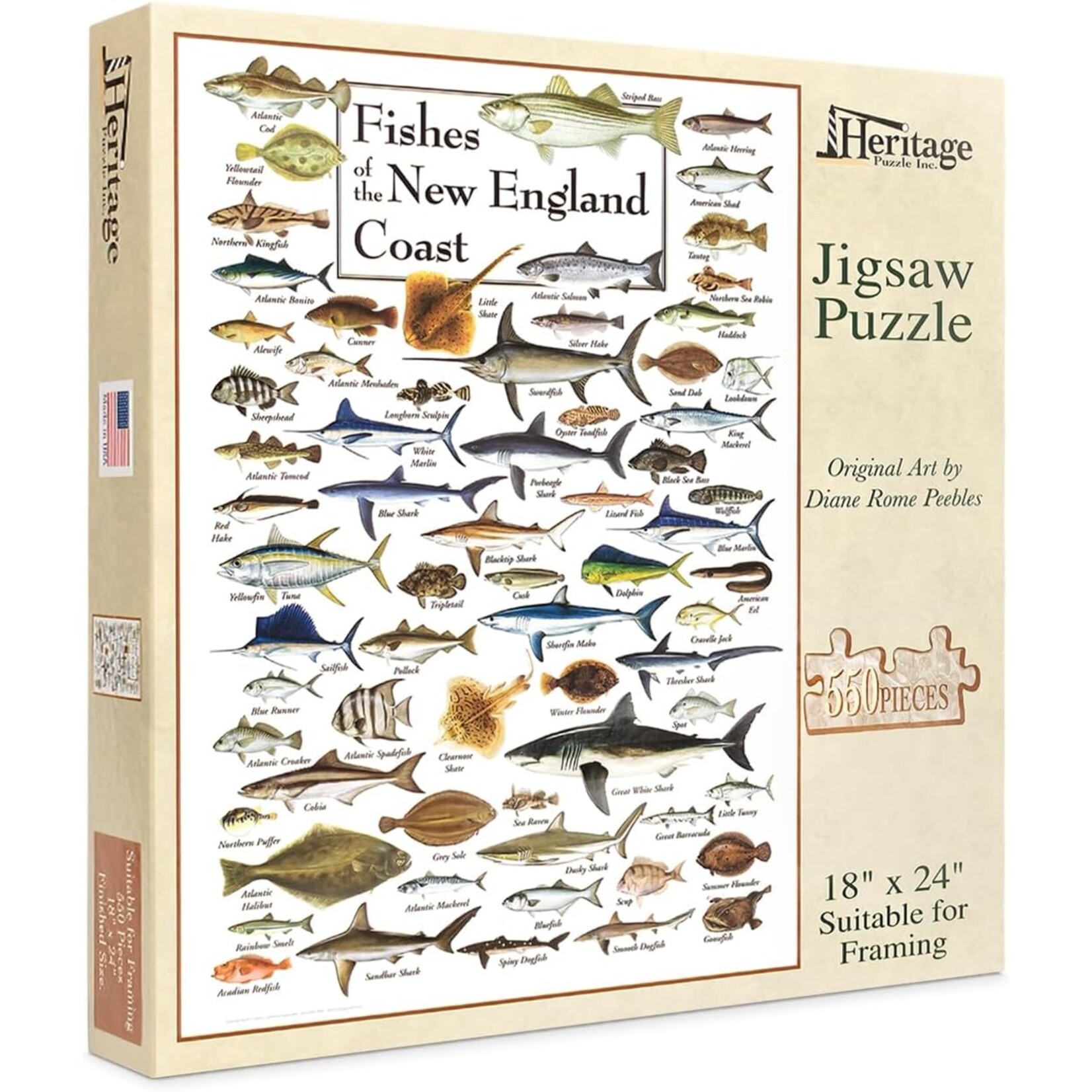 Fishes of the New England Coast 550 Piece Puzzle