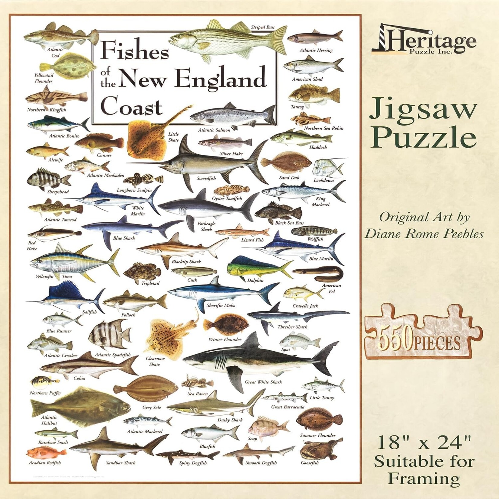 Fishes of the New England Coast 550 Piece Puzzle