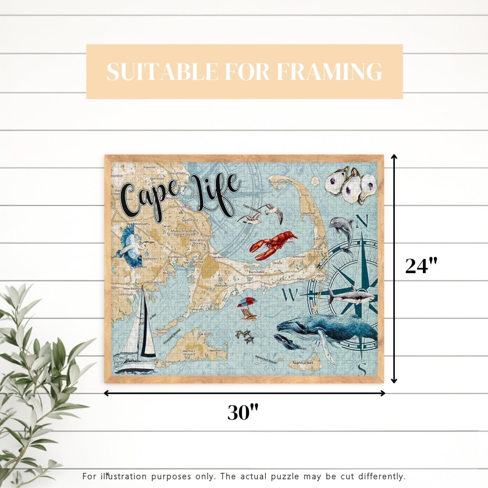 Cape Life 1000 Piece Puzzle