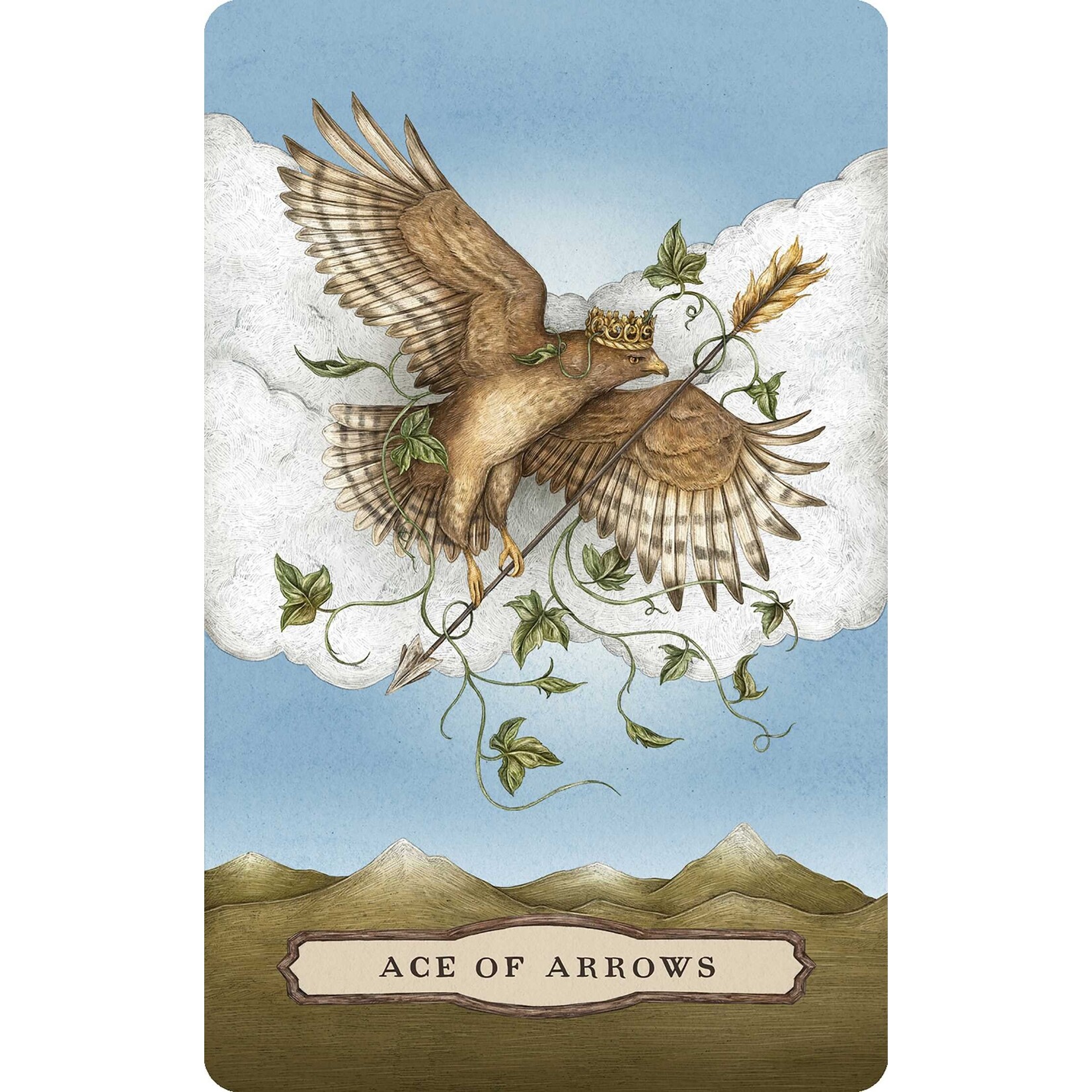 Tarot of the Woodland Wardens: 78-Card Deck & Guidebook
