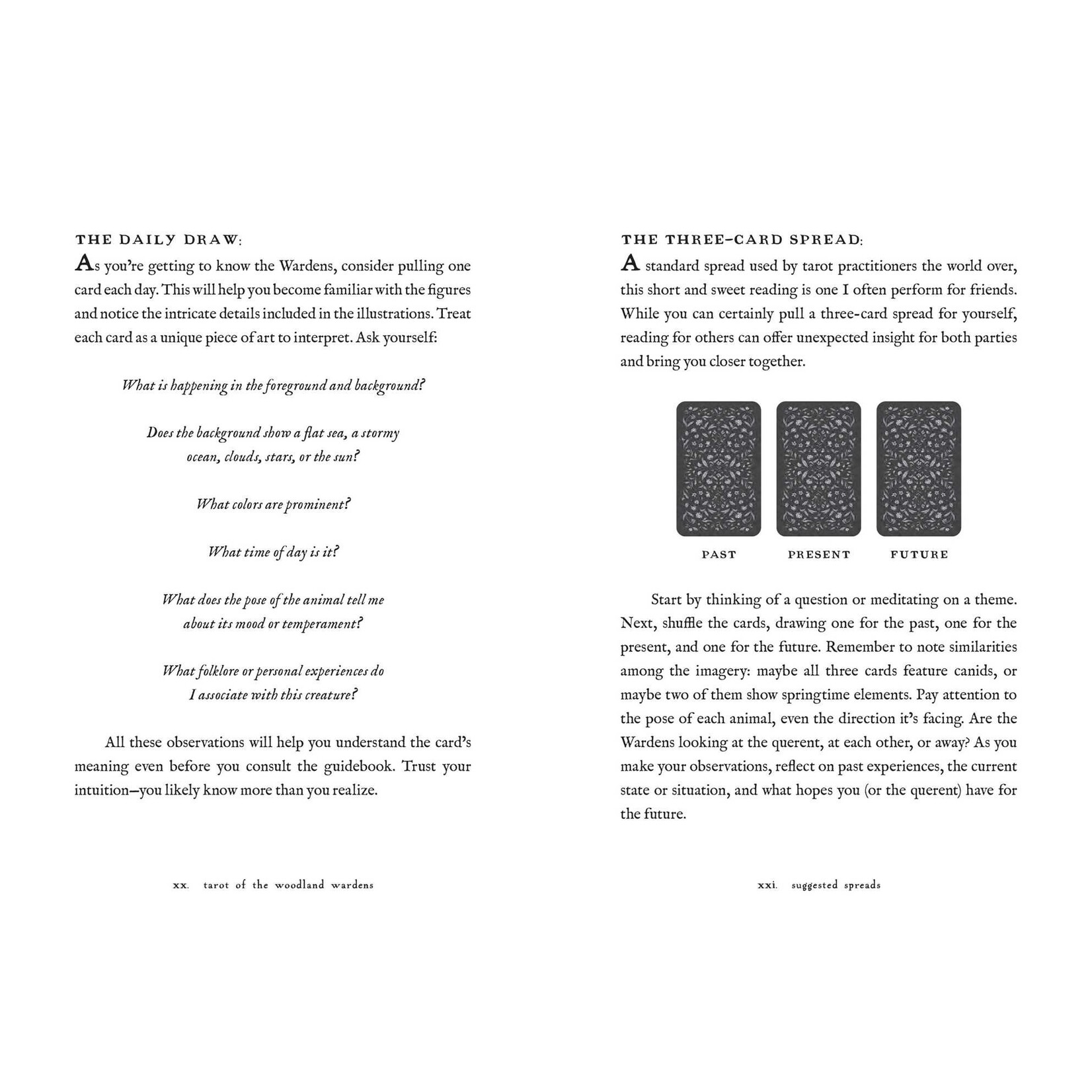 Tarot of the Woodland Wardens: 78-Card Deck & Guidebook