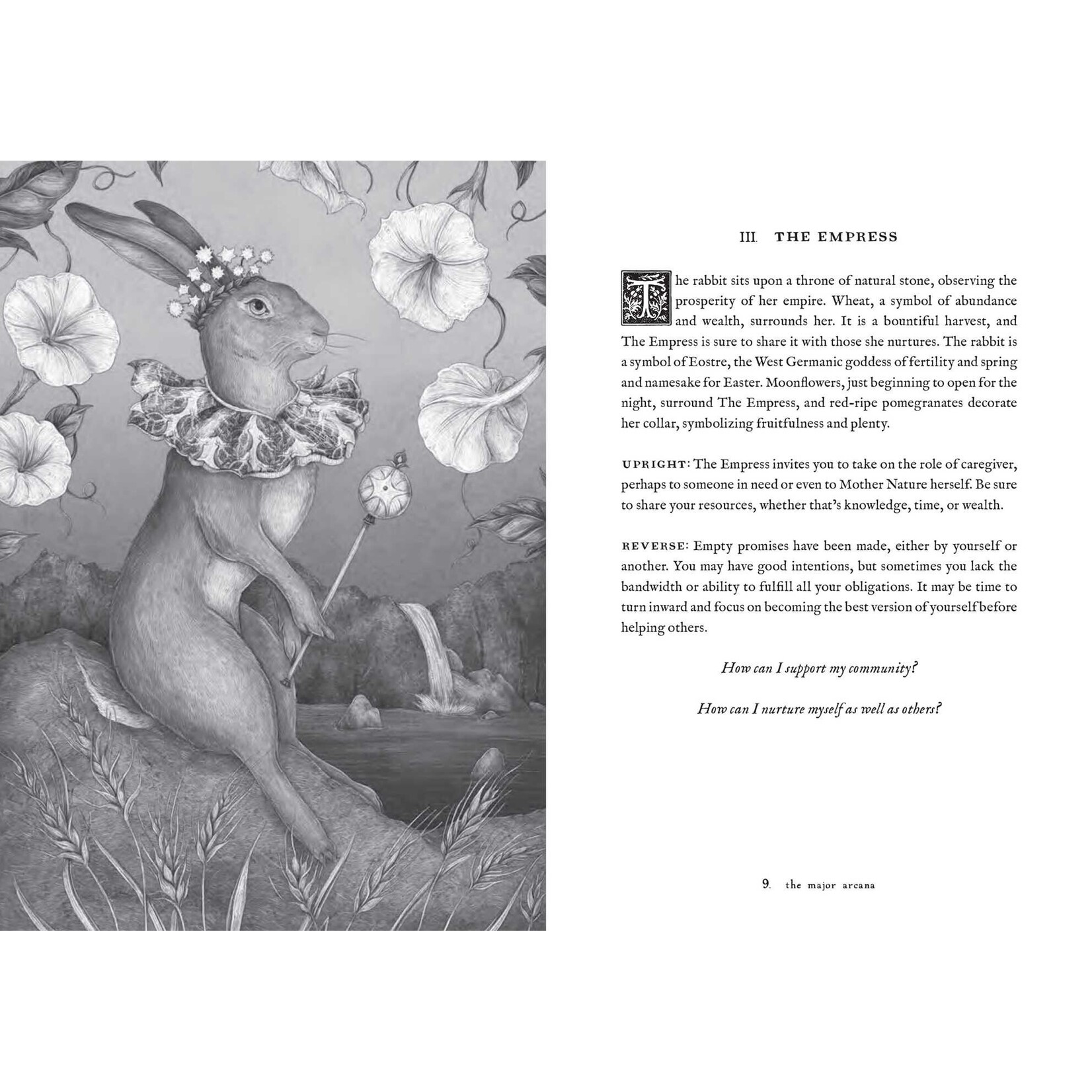 Tarot of the Woodland Wardens: 78-Card Deck & Guidebook