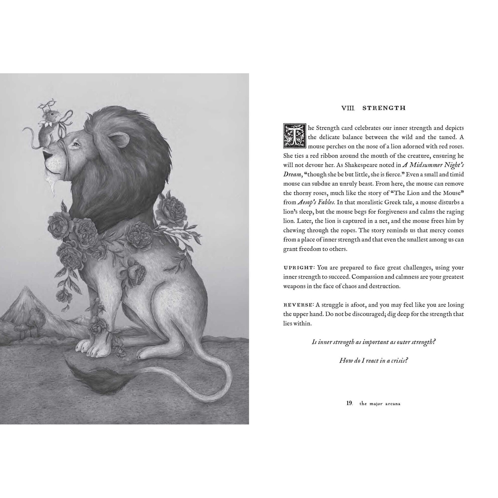 Tarot of the Woodland Wardens: 78-Card Deck & Guidebook