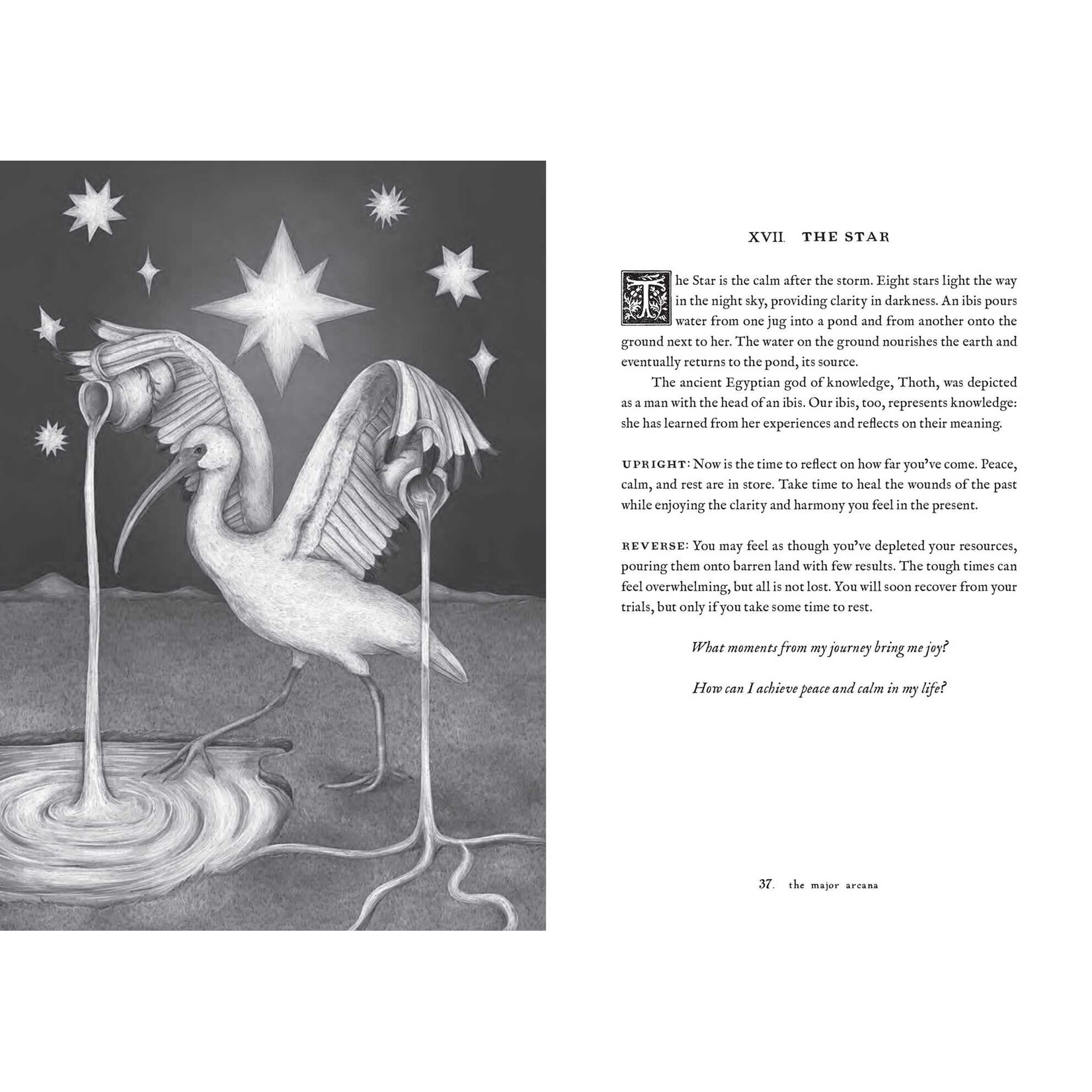 Tarot of the Woodland Wardens: 78-Card Deck & Guidebook