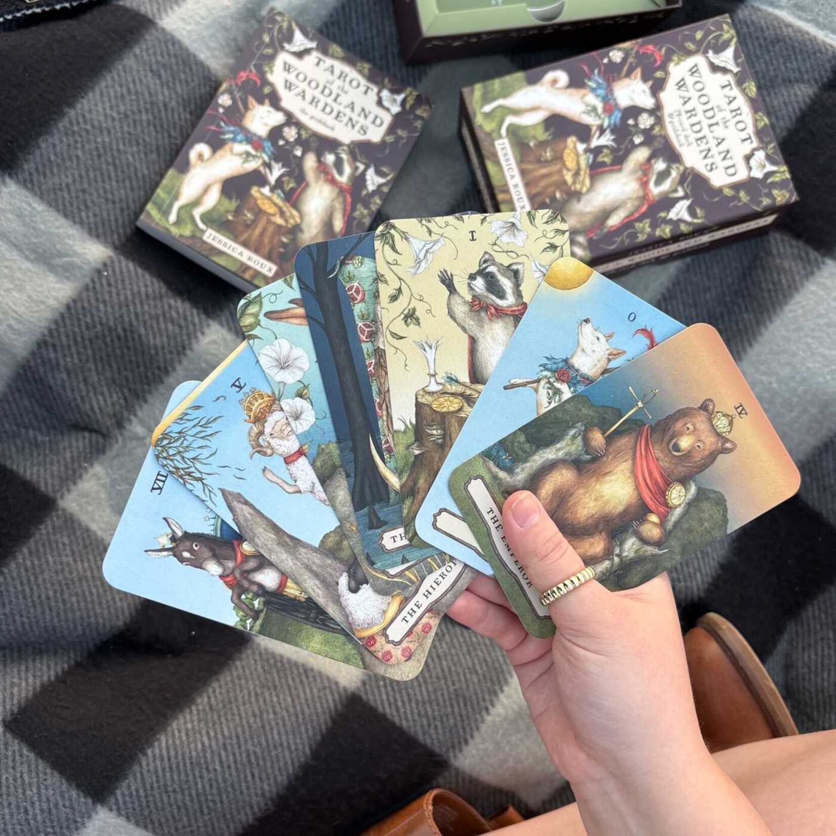 Tarot of the Woodland Wardens: 78-Card Deck & Guidebook