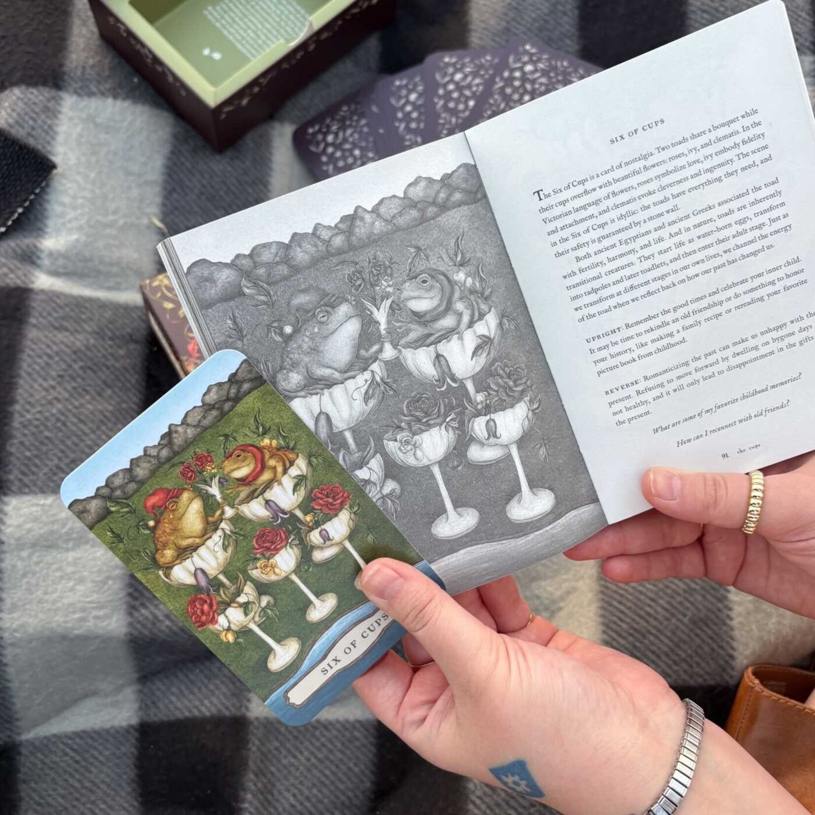Tarot of the Woodland Wardens: 78-Card Deck & Guidebook