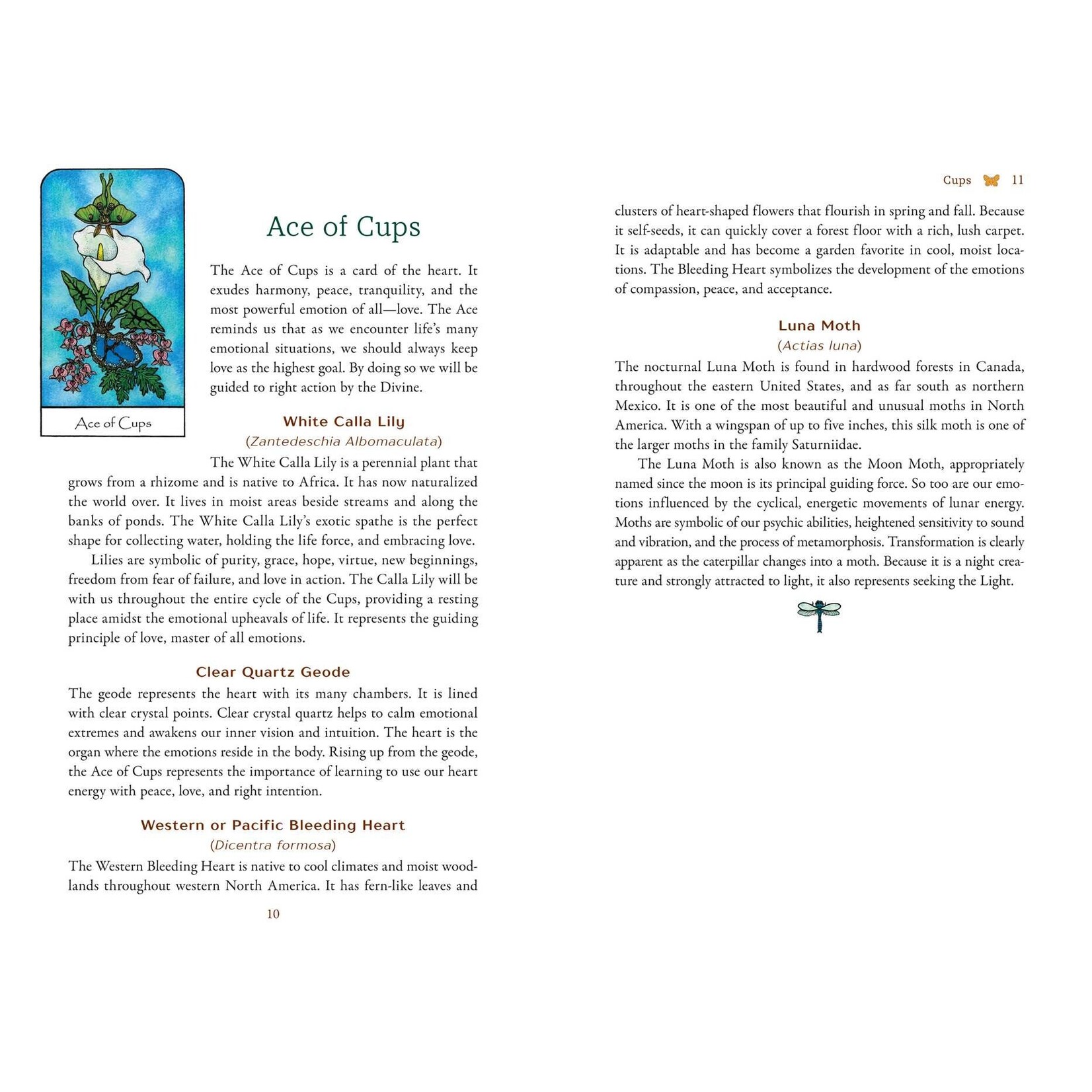 Nature Spirit Tarot: A 78-Card Deck and Book for the Journey of the Soul