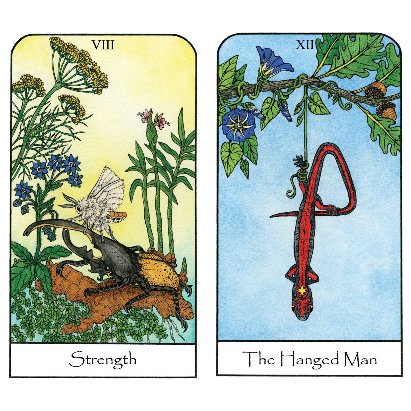 Nature Spirit Tarot: A 78-Card Deck and Book for the Journey of the Soul