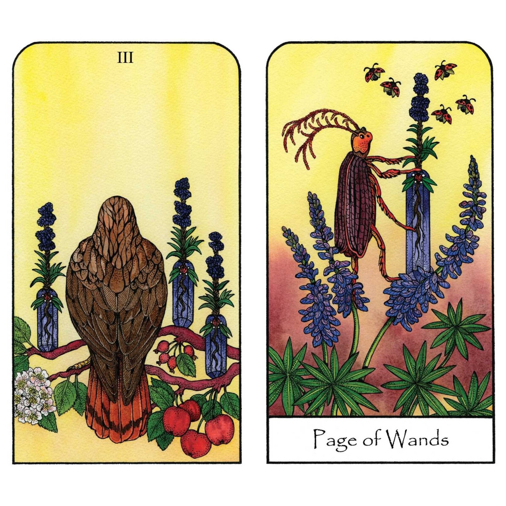 Nature Spirit Tarot: A 78-Card Deck and Book for the Journey of the Soul