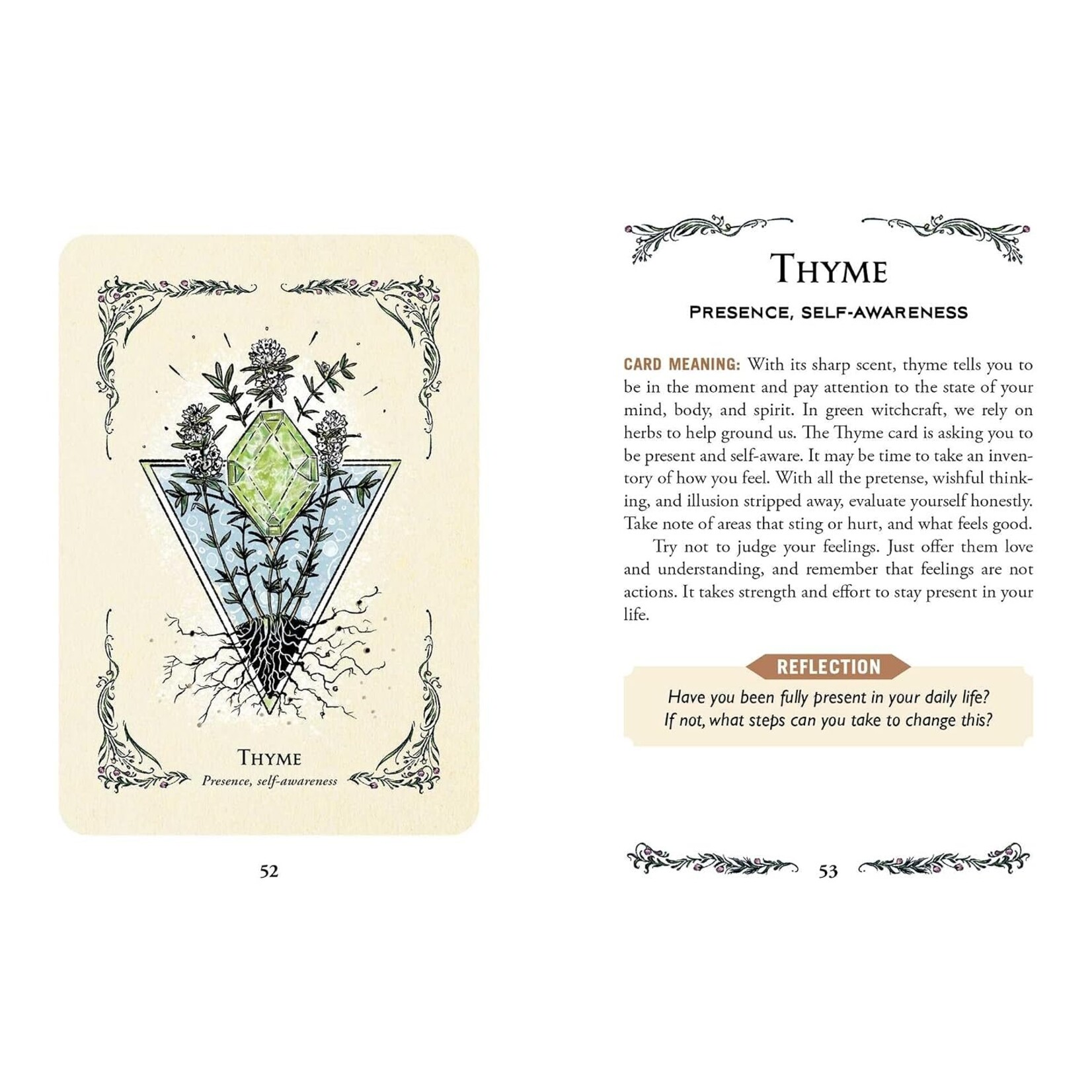 The Green Witch's Oracle Deck: Embrace the Wisdom and Insight of Natural Magic