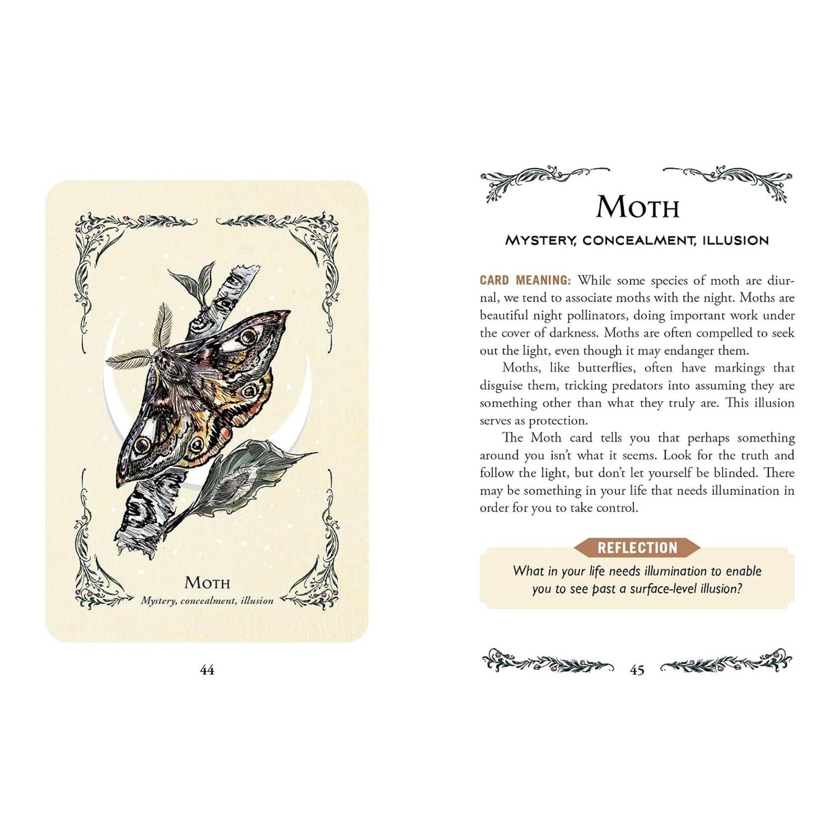 The Green Witch's Oracle Deck: Embrace the Wisdom and Insight of Natural Magic