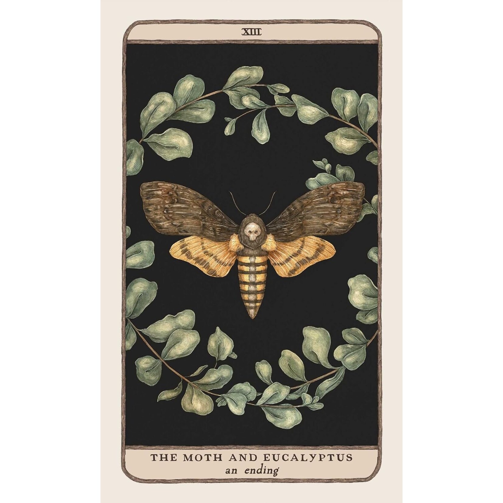 Woodland Wardens: 52-Card Oracle Deck & Guidebook