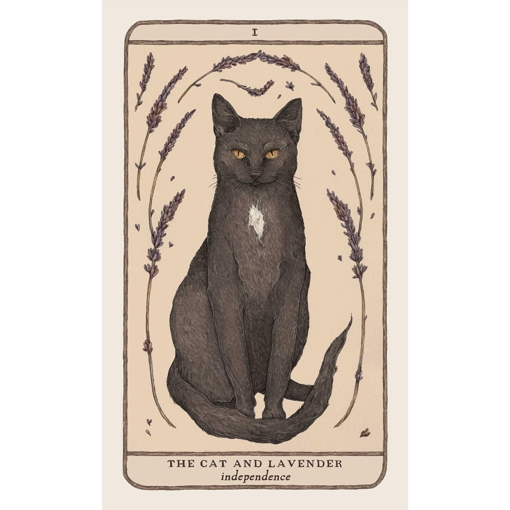 Woodland Wardens: 52-Card Oracle Deck & Guidebook