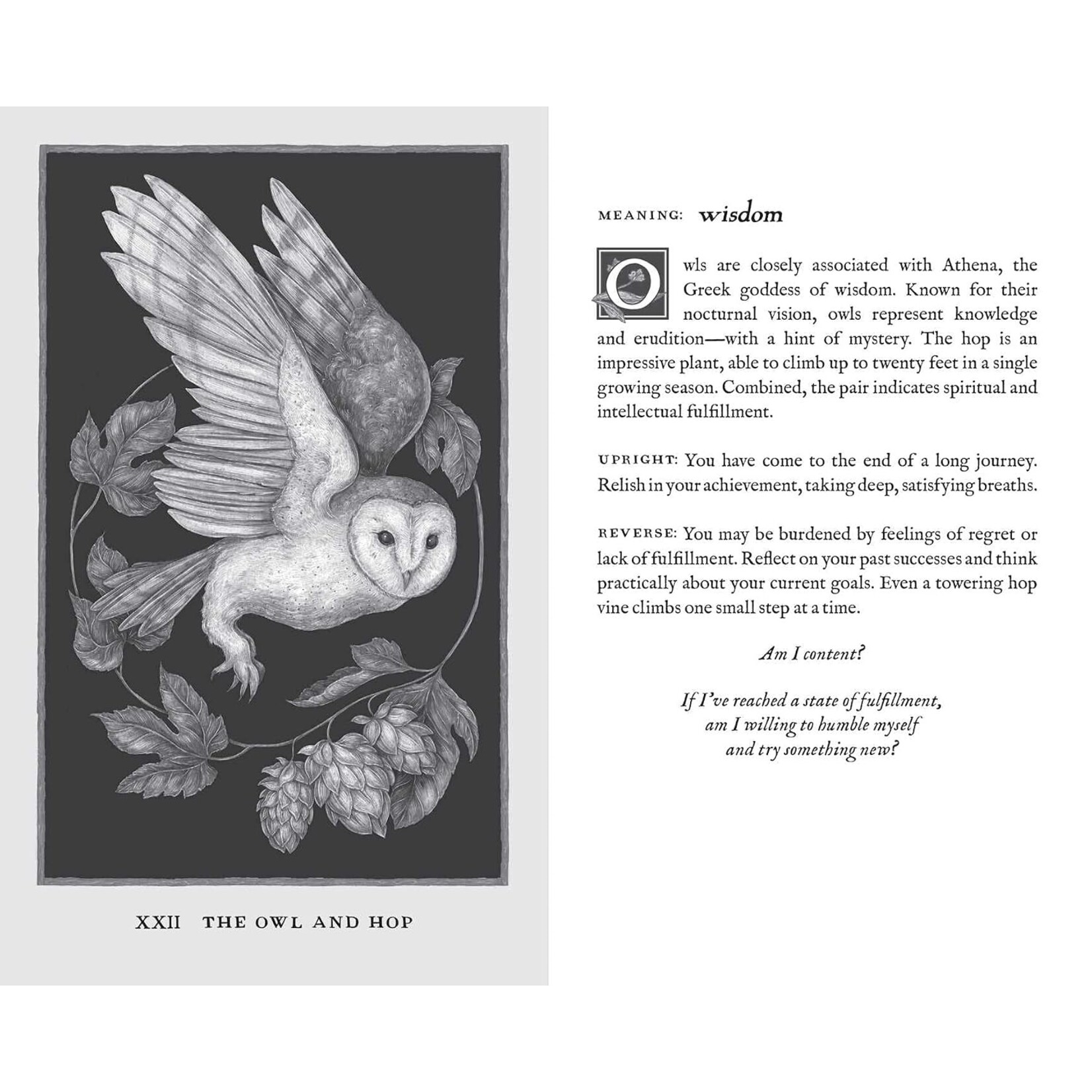 Woodland Wardens: 52-Card Oracle Deck & Guidebook