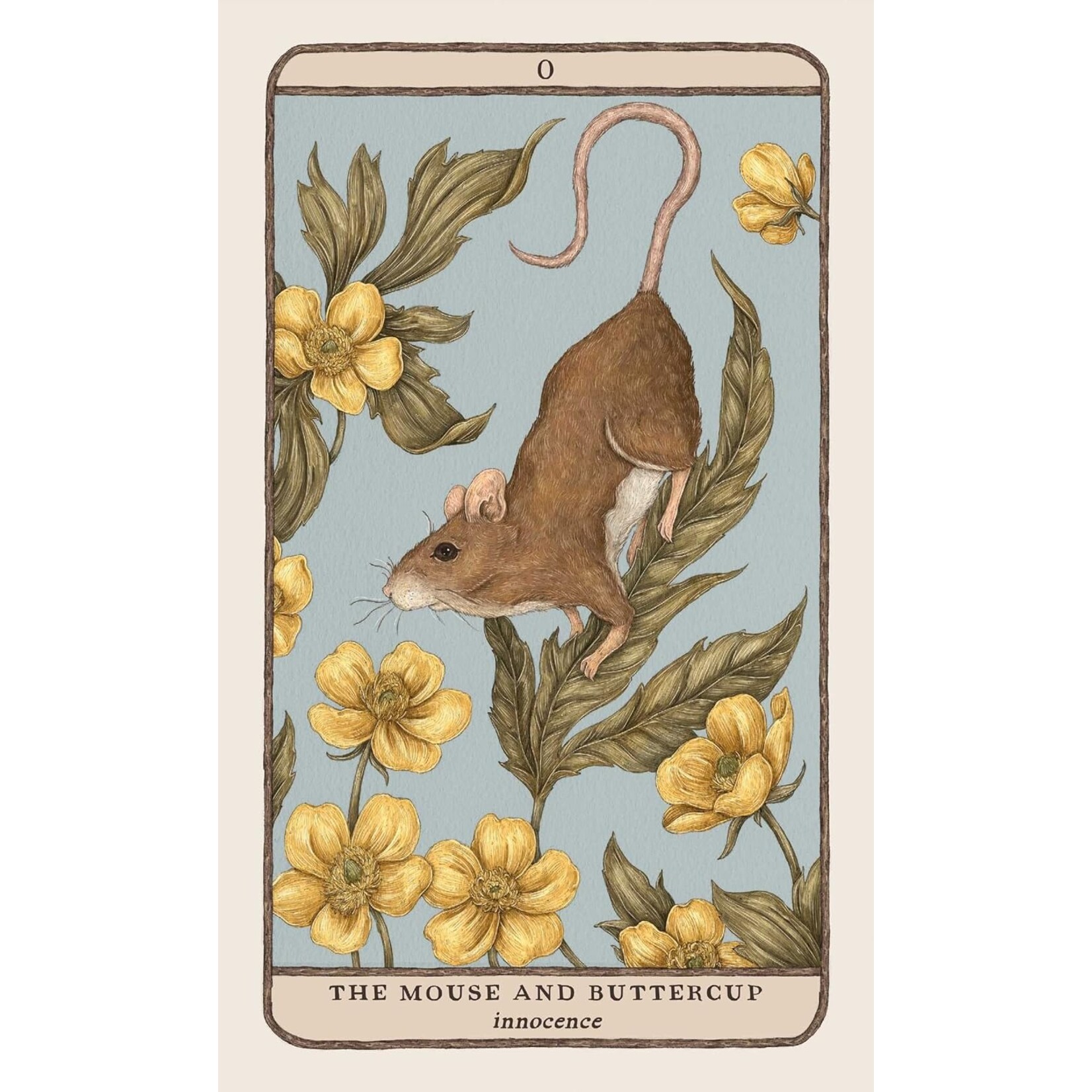 Woodland Wardens: 52-Card Oracle Deck & Guidebook