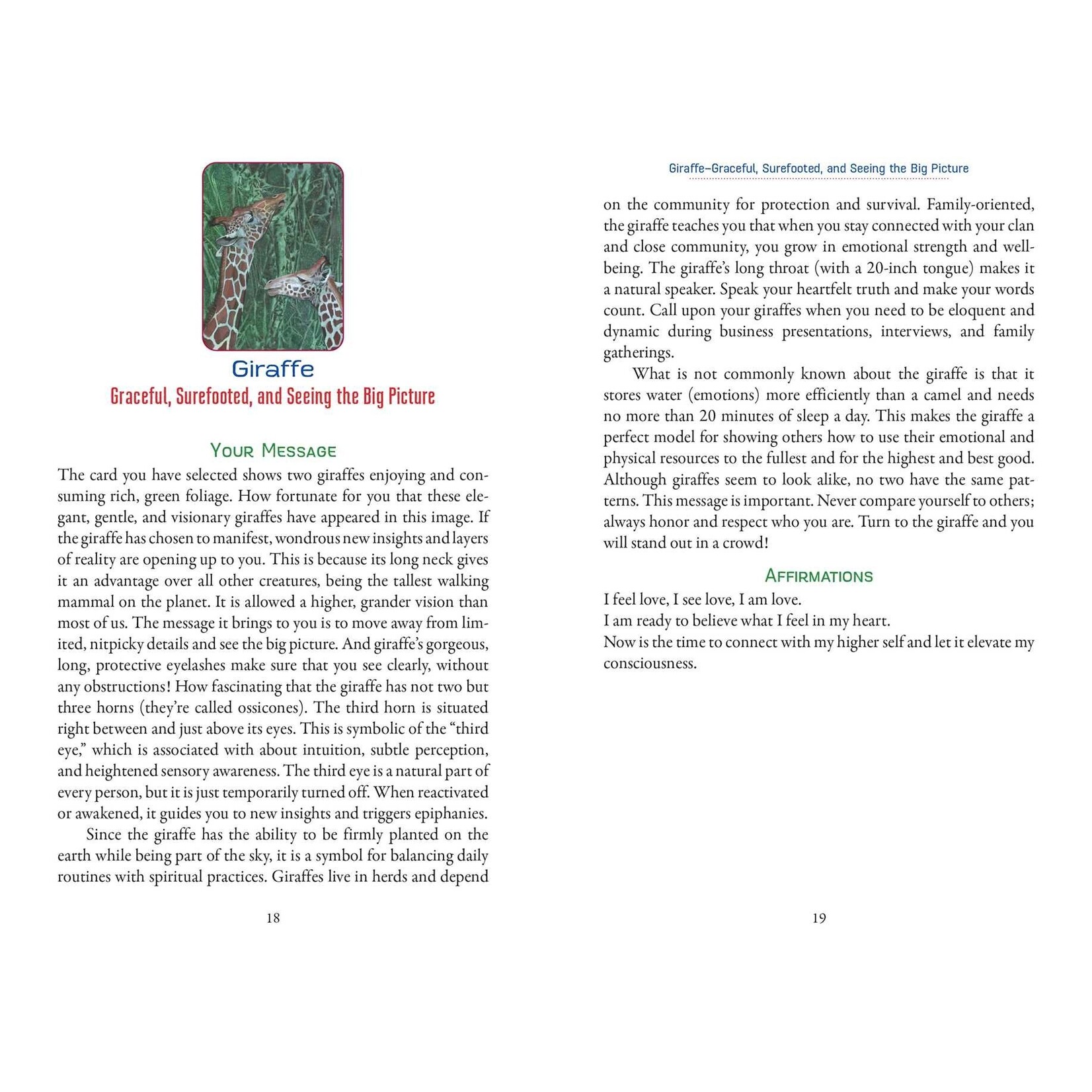 Animal Love Oracle Cards: Advice, Compassion, and Wisdom from Our Animal Mentors