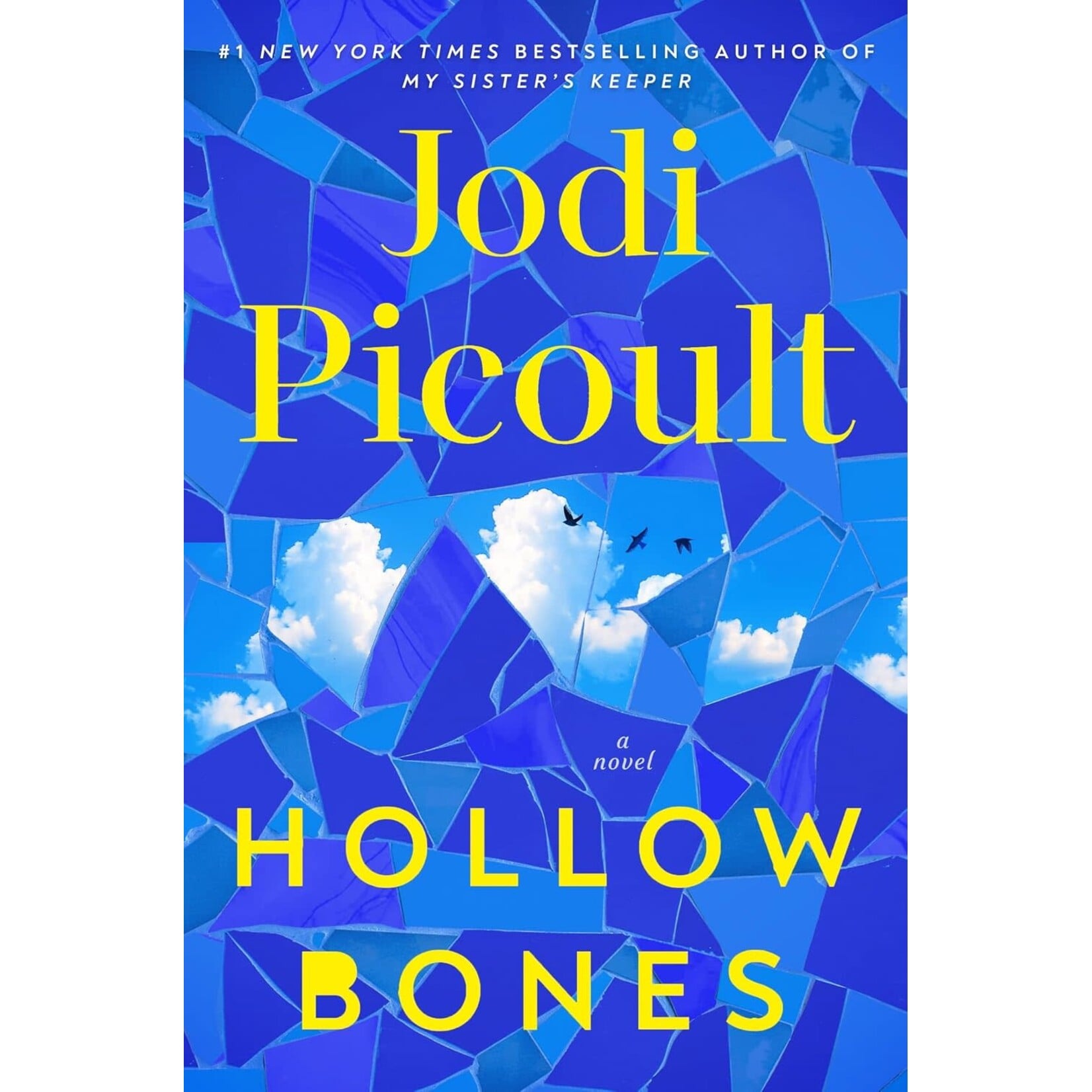 Hollow Bones: A Novel