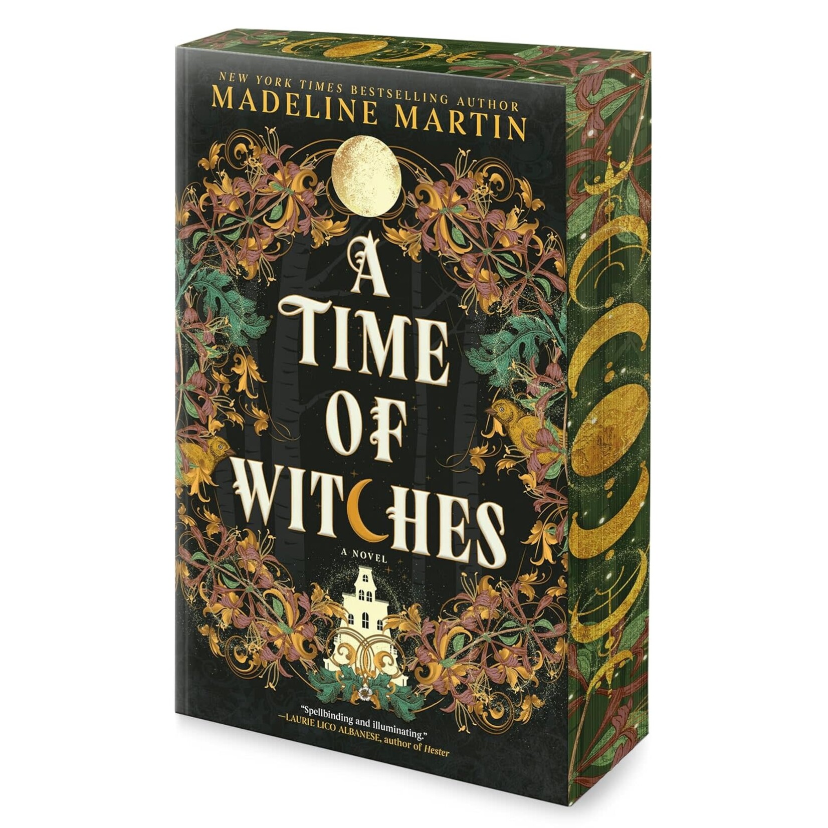 A Time of Witches: A Novel