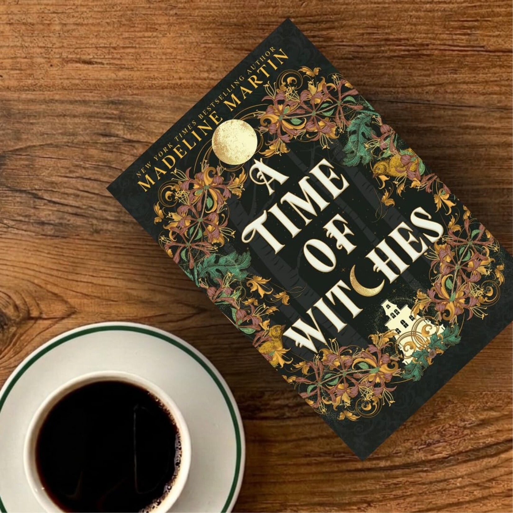 A Time of Witches: A Novel