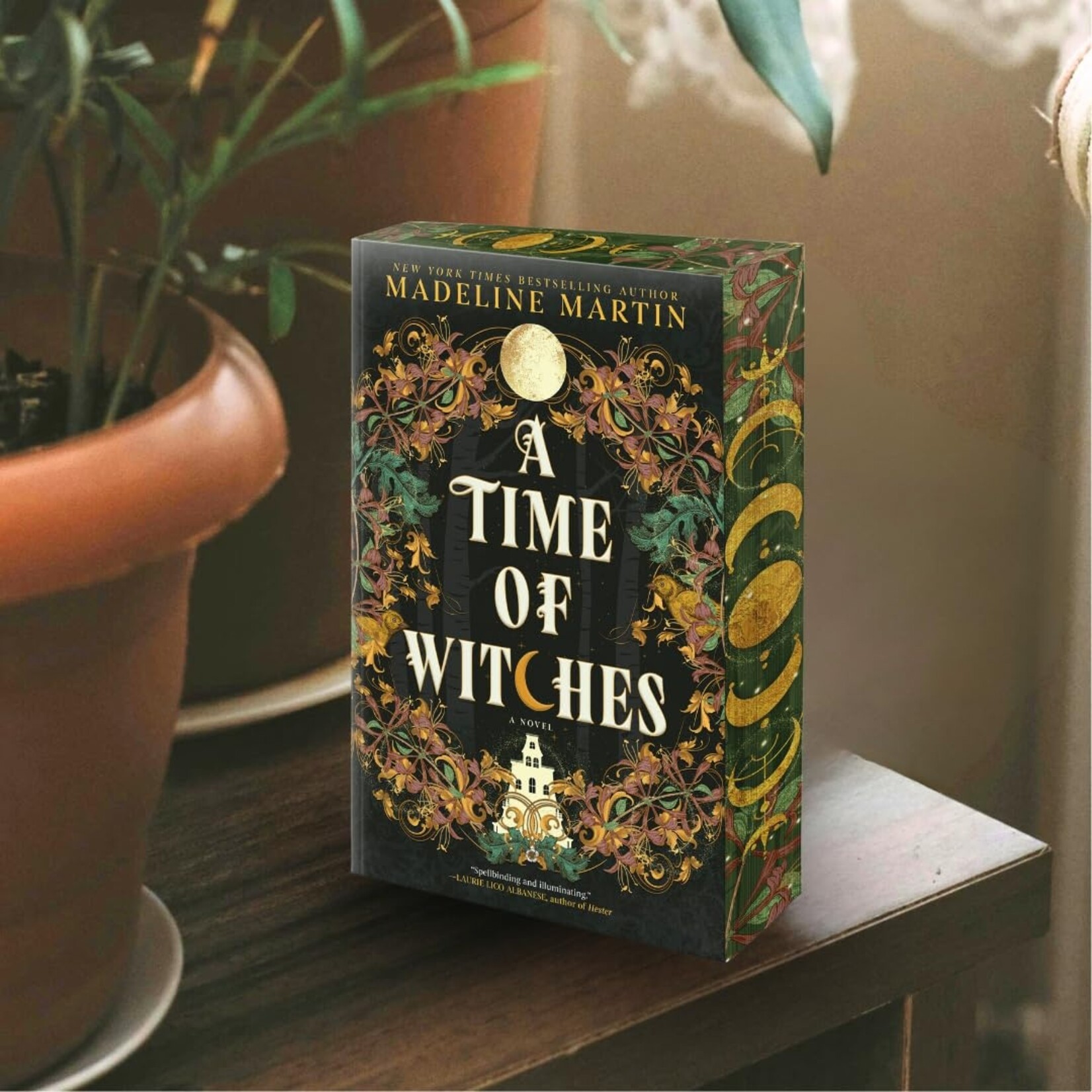 A Time of Witches: A Novel