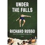 Under the Falls: A Novel