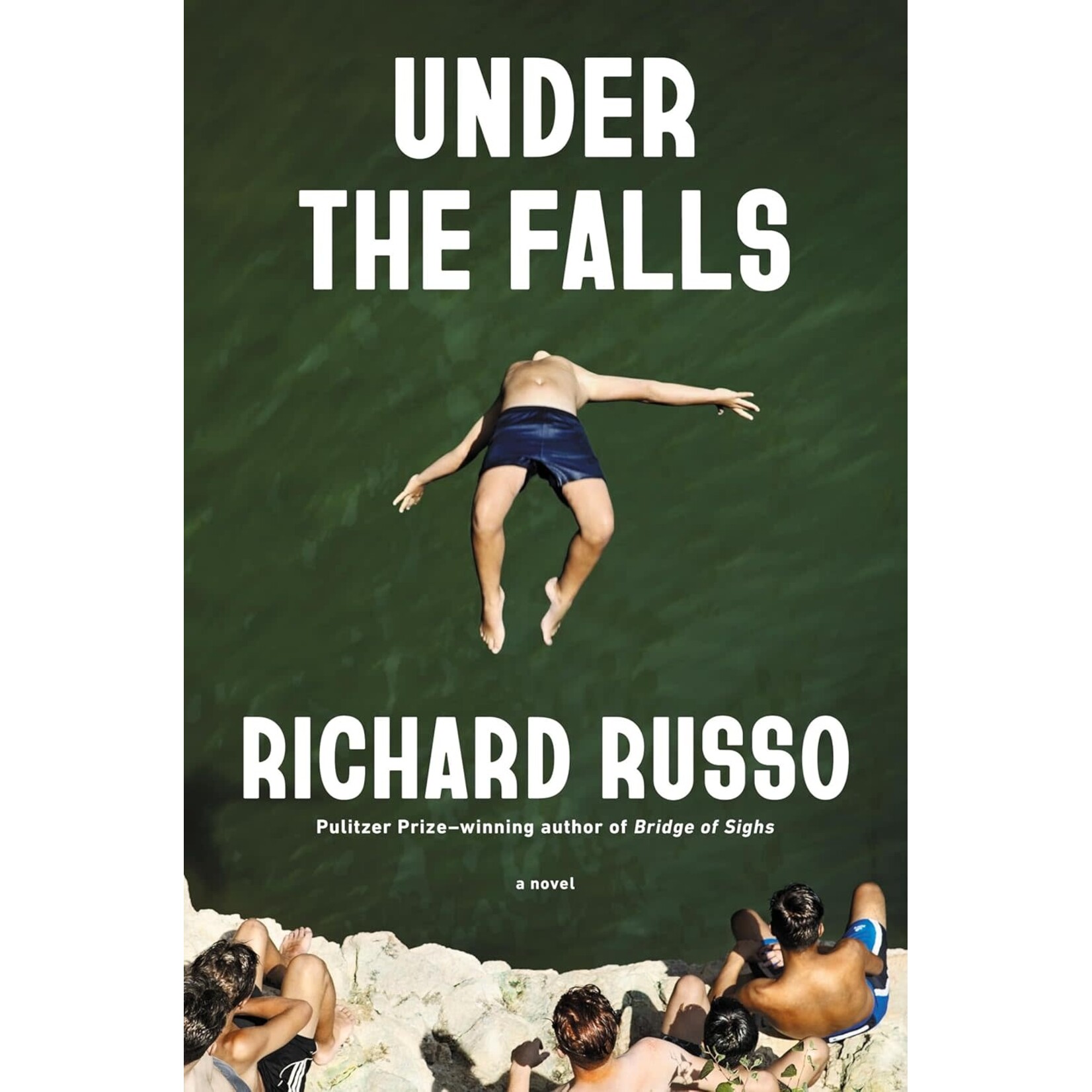 Under the Falls: A Novel (Falls #2)