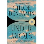 Under Story: A Novel