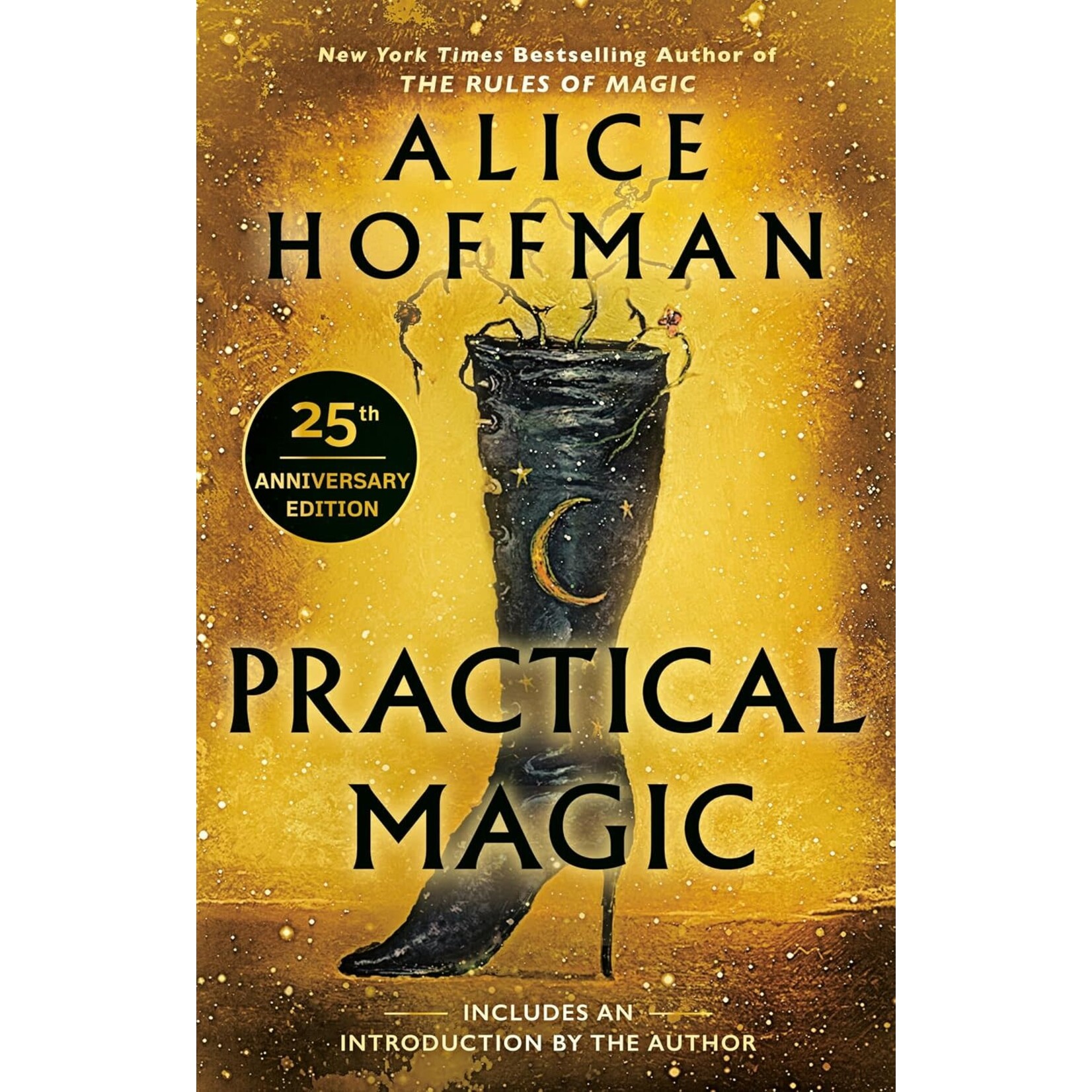 Practical Magic (Practical Magic #1)