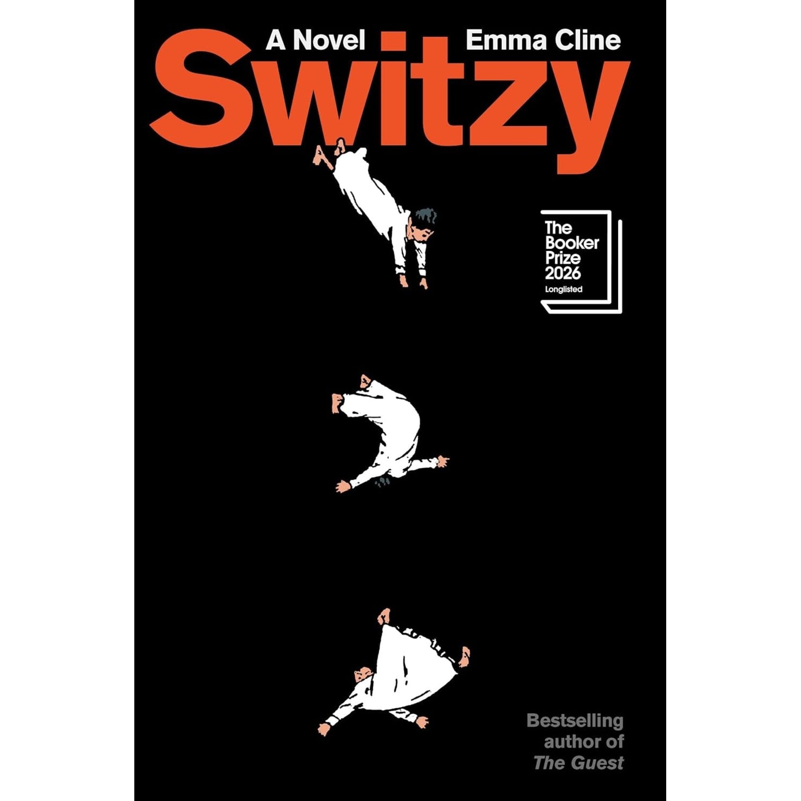 Switzy: A Novel