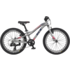 GT Stomper Prime 20" youth mountain bicycle SILVER