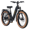 AIMA Big Sur Fat Tire E-Bike Bicycle