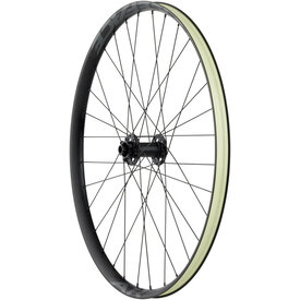 Quality Wheels Quality Wheels Bear Pawls / RaceFace AR Front Wheel - 29", 15 x 110mm, 6-Bolt, Black