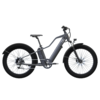 Blix Ultra All Terrain Electric Bicycle (DUAL BATTERY)