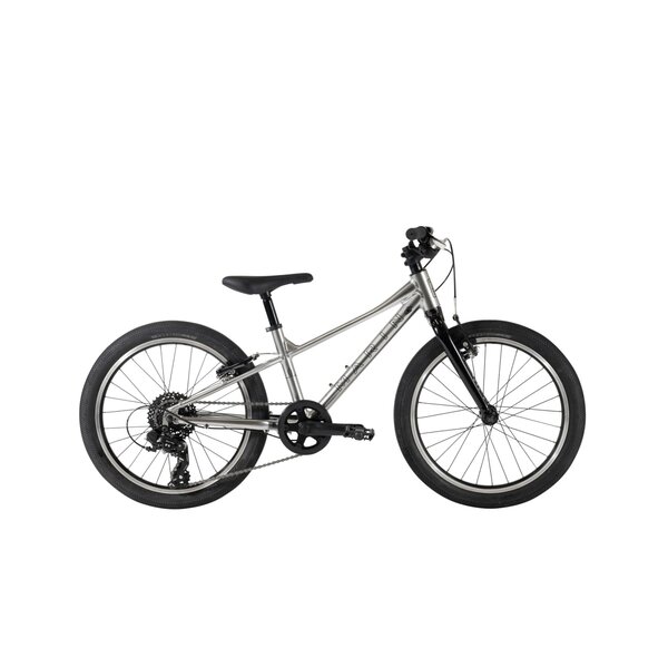 Marin Marin Coast Trail 20" Kids Bicycle, 7 speed - SILVER/BLACK