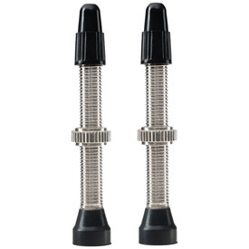 WTB WTB TCS Tubeless Valves (Presta) 46mm - PAIR