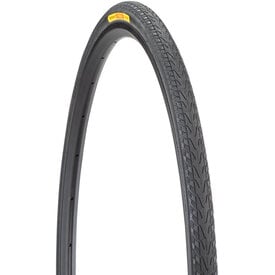 Panaracer Panaracer Pasela Tire - 700 x 28, Clincher, Wire, Black, 60tpi