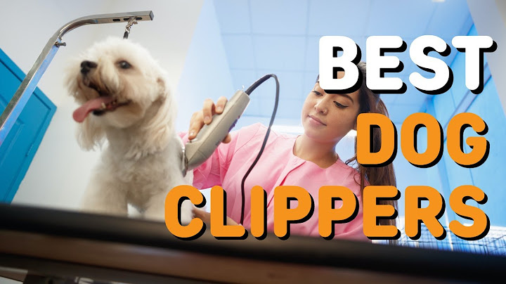 The Best Dog Clippers of 2021