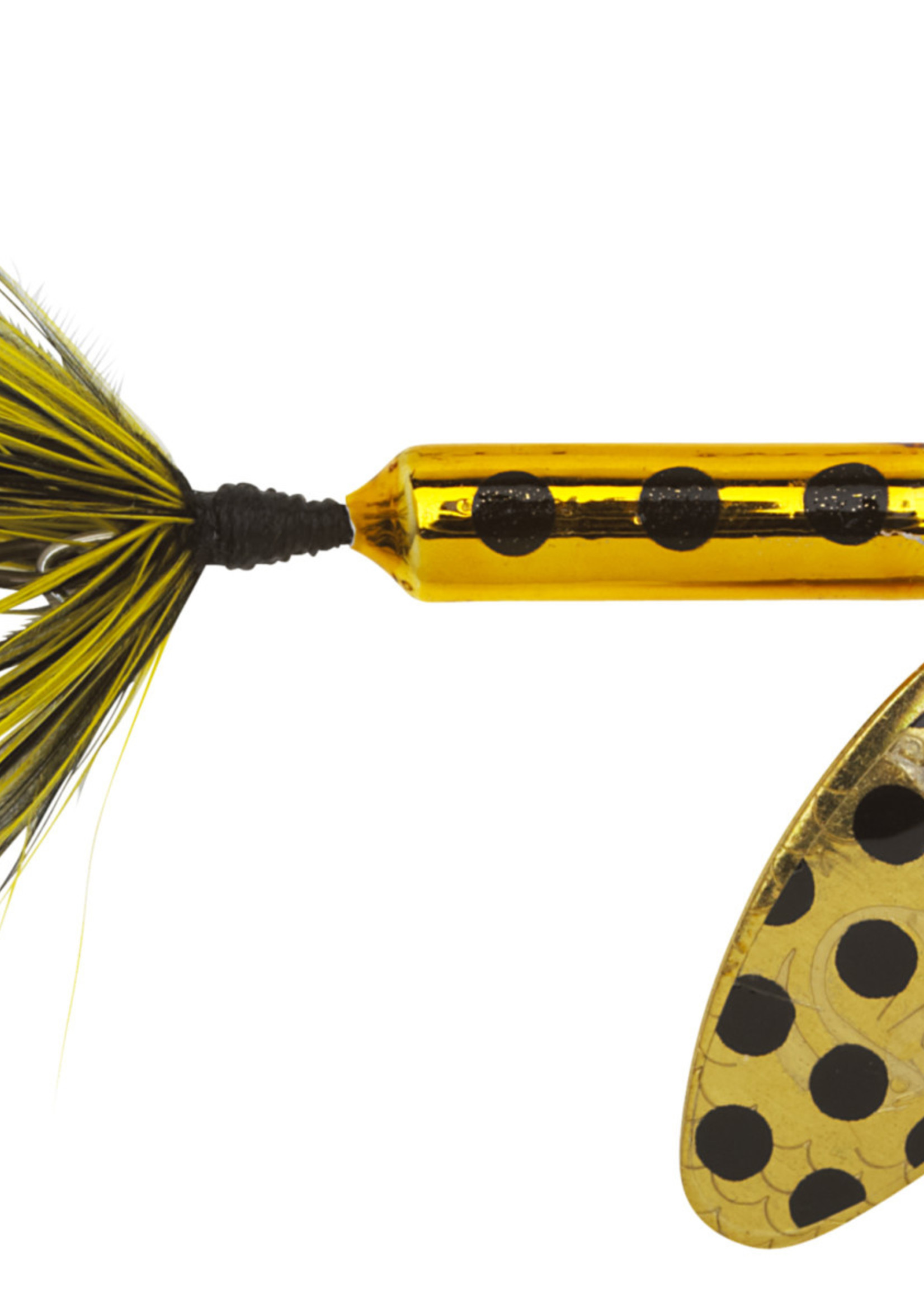 Worden's Rooster Tail Spinner Lure 1/16 Oz. - Metallic Gold Spot -  Appalachian Outdoor Supply